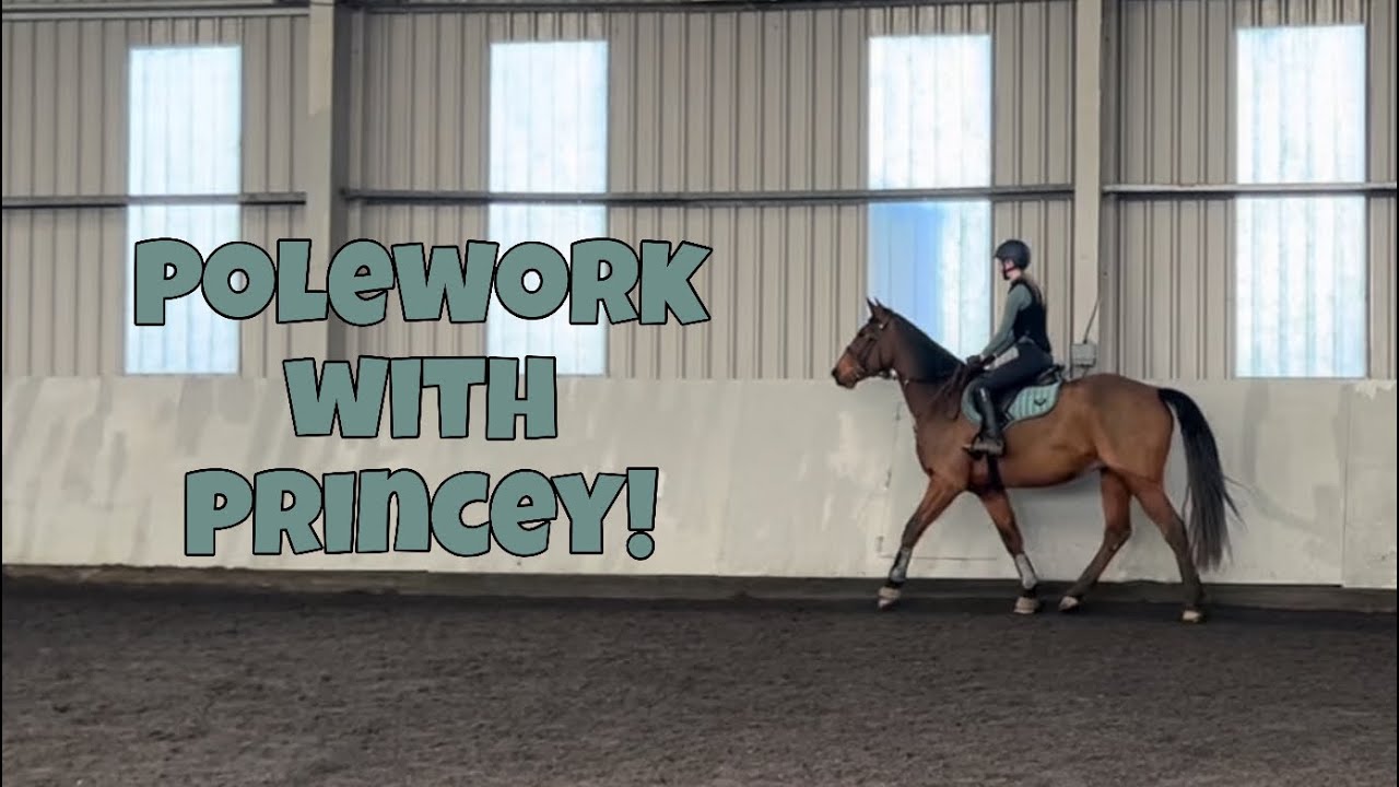 Indoor arena hire + polework with Princey!