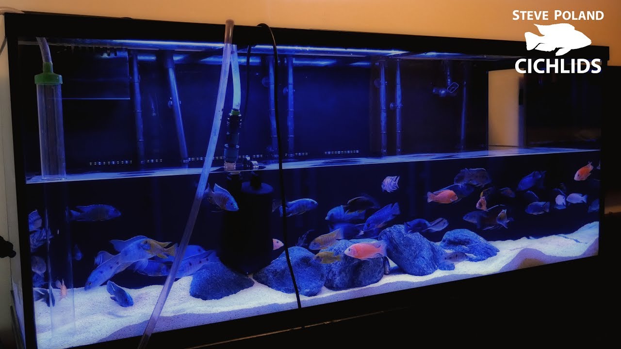 How I Do Water Changes