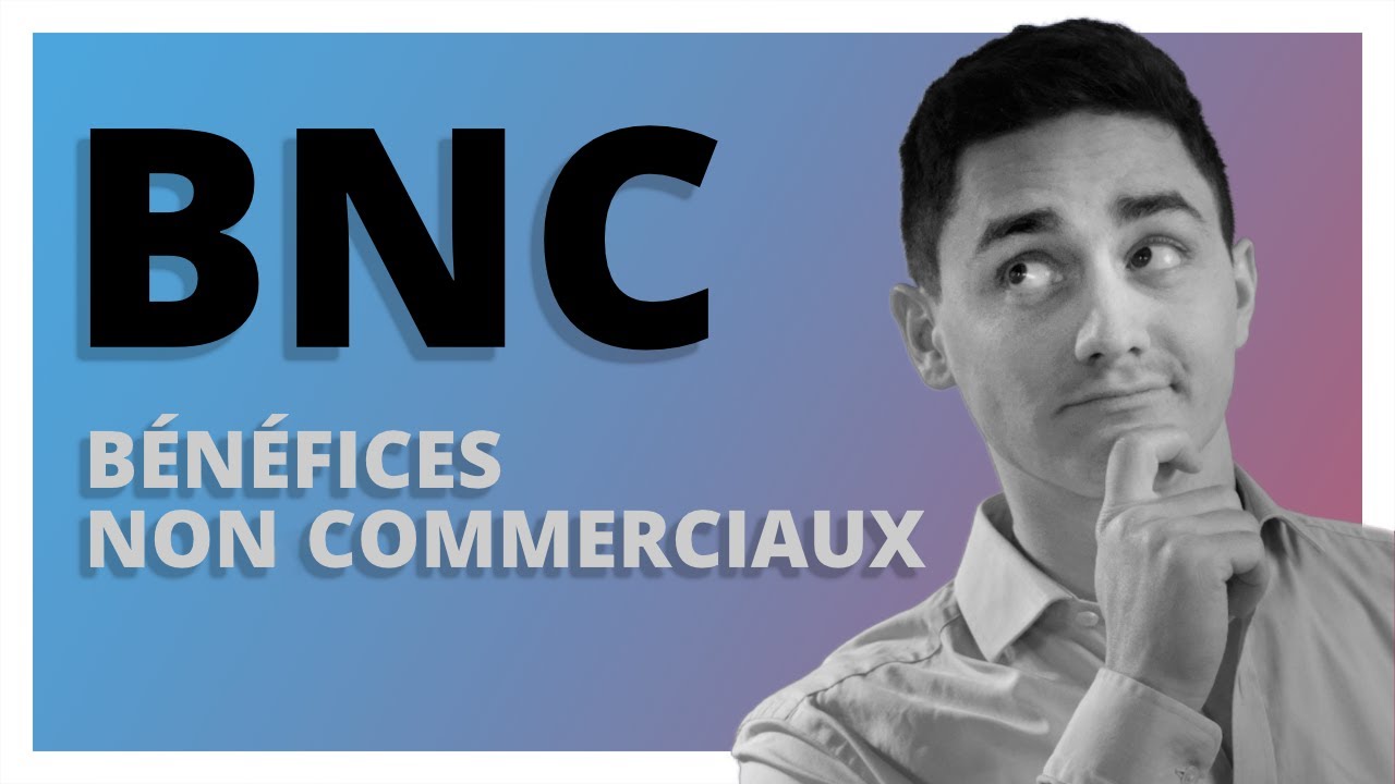 Les bénéfices non commerciaux - TOUT savoir sur l'impôt sur le revenu - Ep.6 🎓