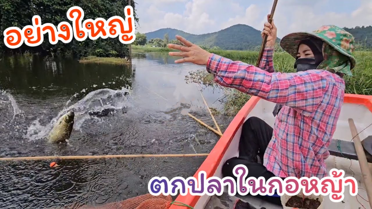 #ตกปลาคันไม้ไผ่ เหยื่อลงเป็นต้องงัด ปลาแอบใต้กอหญ้า ไซส์อย่างสวย