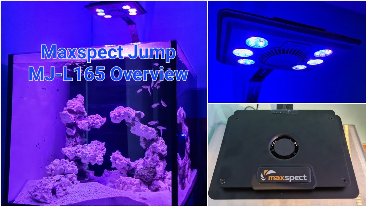 Maxspect Jump LED MJ-L165 Overview - Budget Reef Light