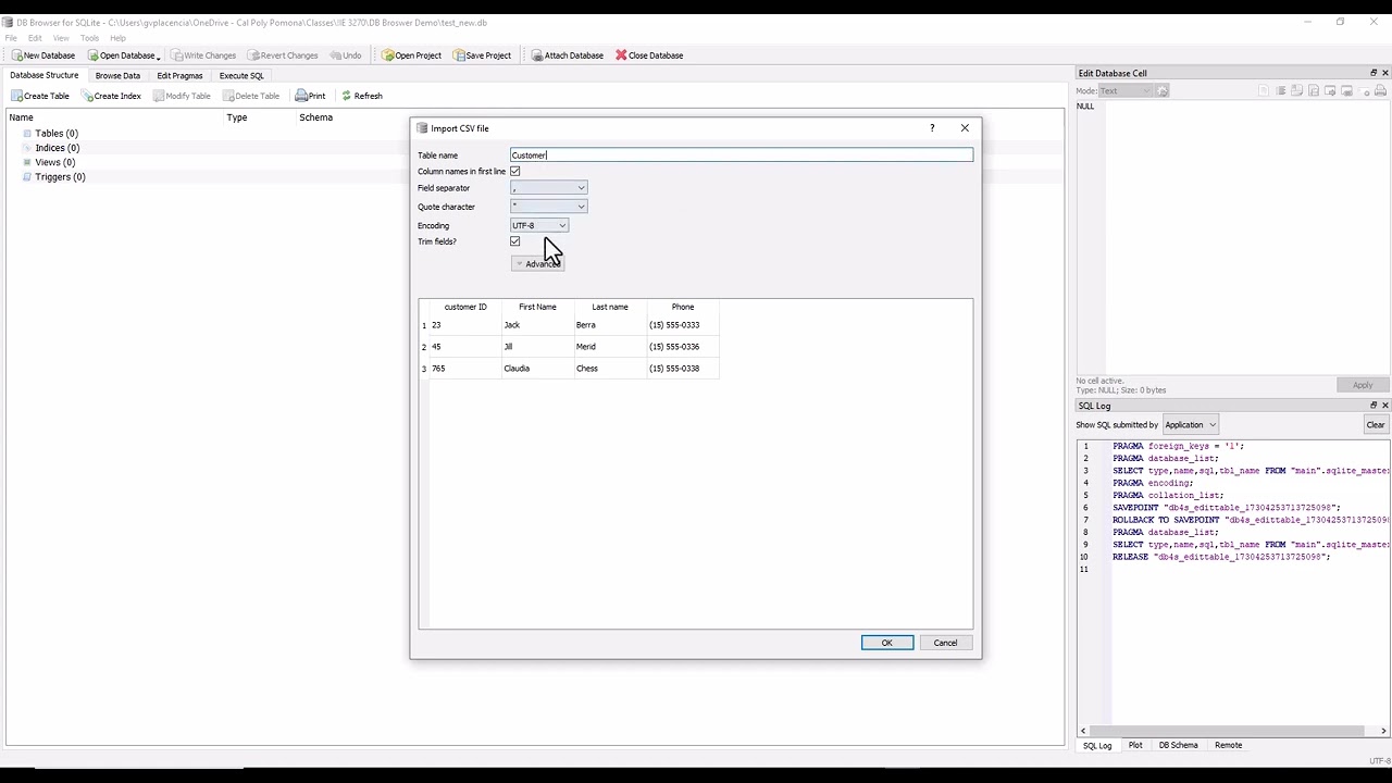 DB Browser for SQLite Demo