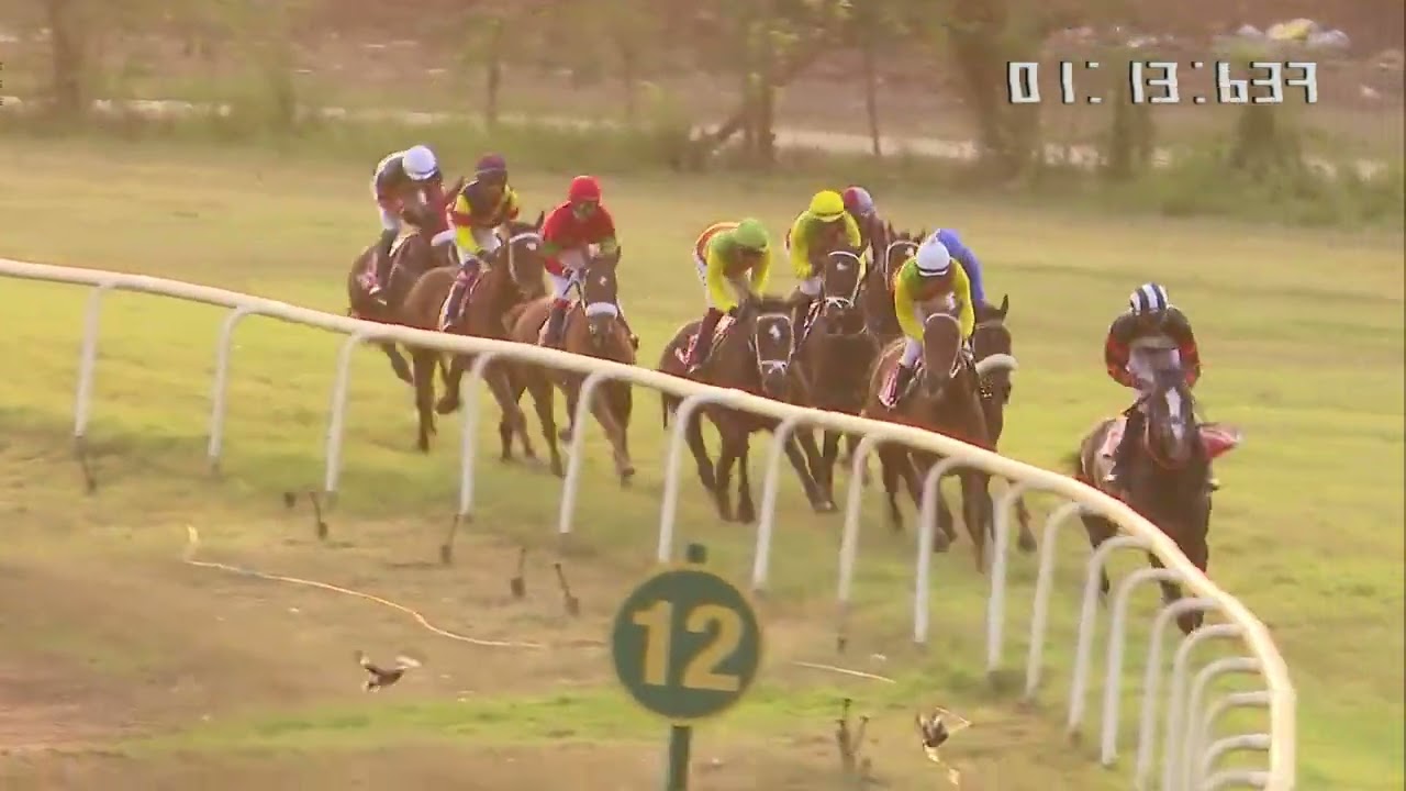 В скачках C N Wadia Gold Cup, в которых участвует Mr Zavaray S Poonawalla (Gr.2), победу одержал ...
