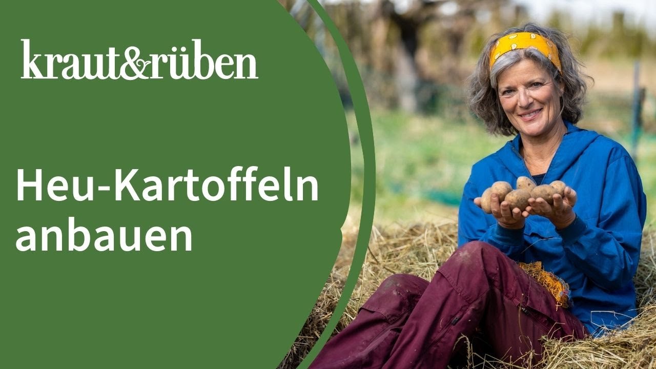 Heukartoffeln anbauen🥔 Kartoffeln anbauen ohne großes Feld