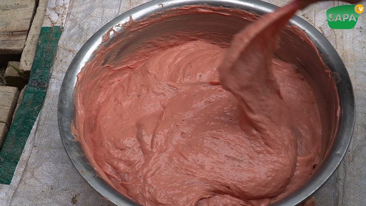CÁCH LÀM GIÒ TRÂU ( P3 ) ĐÁM CƯỚI NGƯỜI TÀY 170 MÂM 1 TRÂU 3 LỢN 86Kg GÀ | SAPA TV