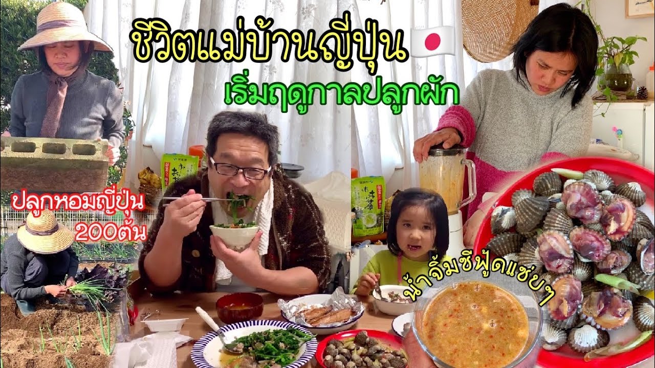 Strong life of Japanese Housewife, Plant 200 Leeks, Make more compost, Pick vegetables, 