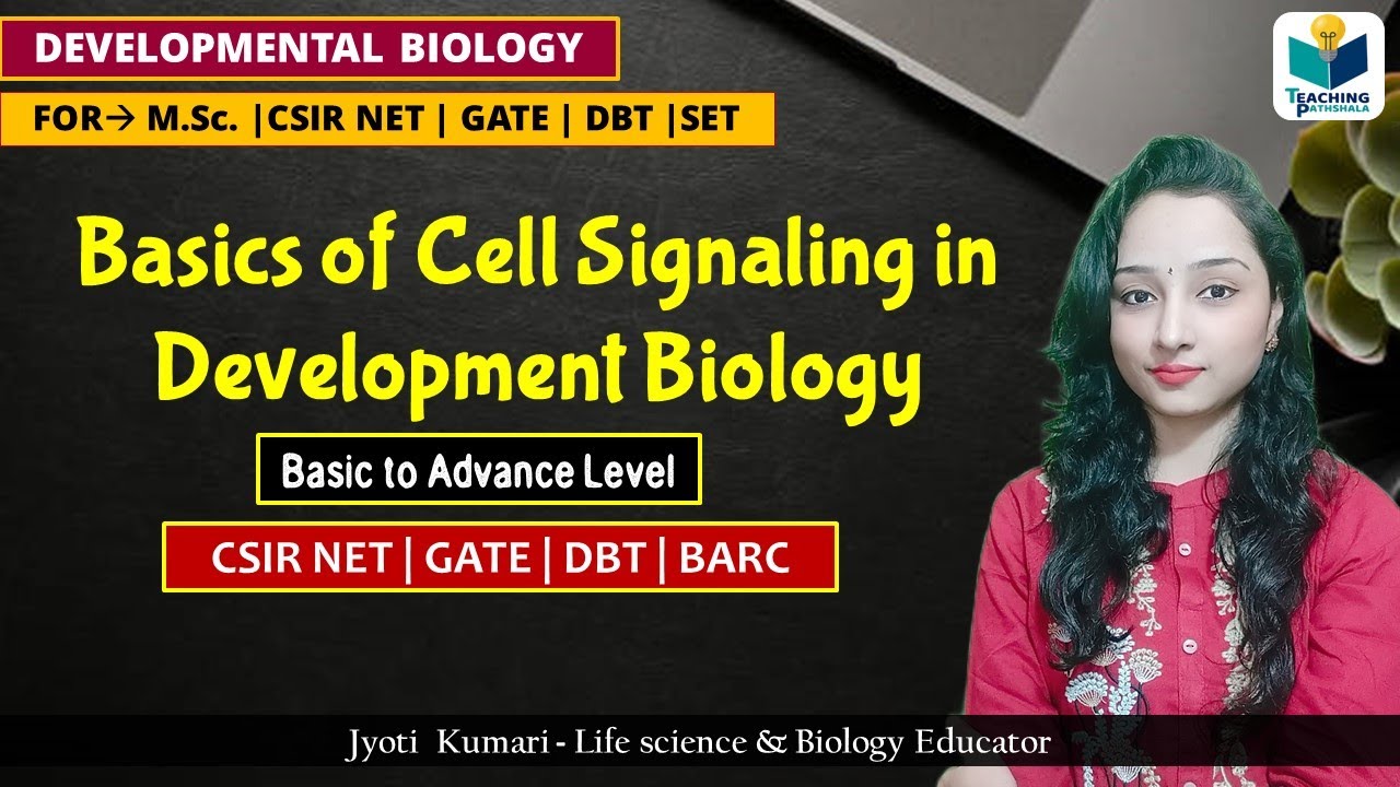 Basics Of Cell Signaling in Development || CSIR NET 2024 || Development Biology