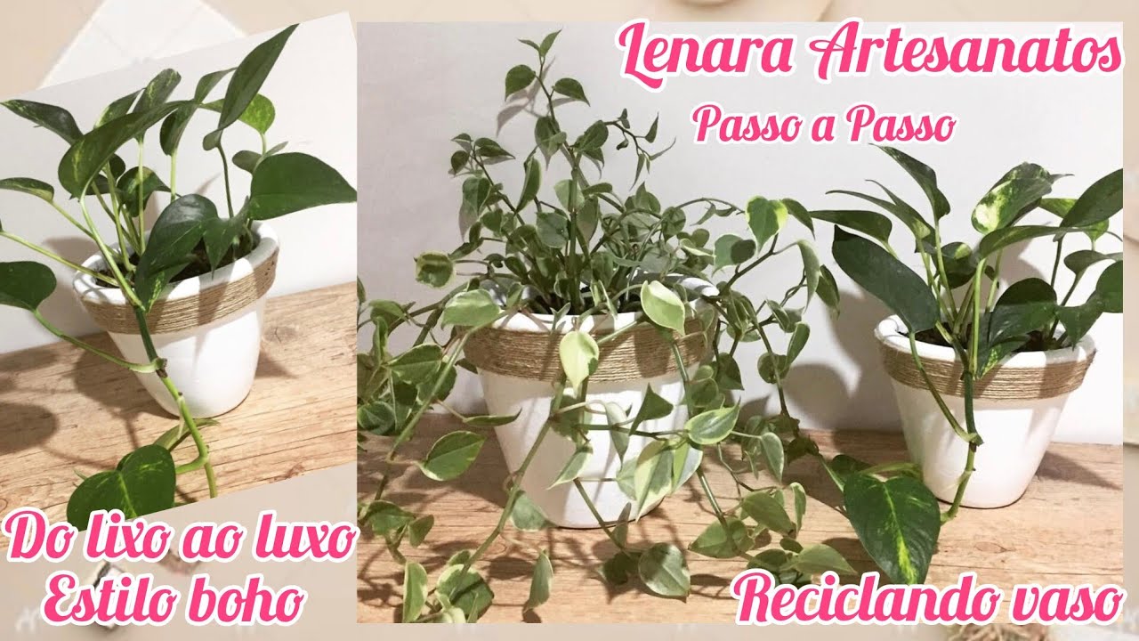 Faça você mesmo reciclando e renovando seus vasos de planta 