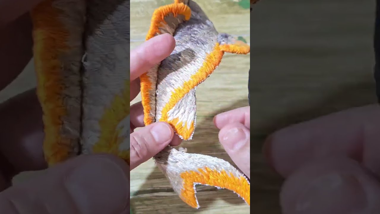 تطريز سمكة مع الحوض ..🥰 #explore #art #shortvideo #embroidery #اكسبلور #diy #handmade 