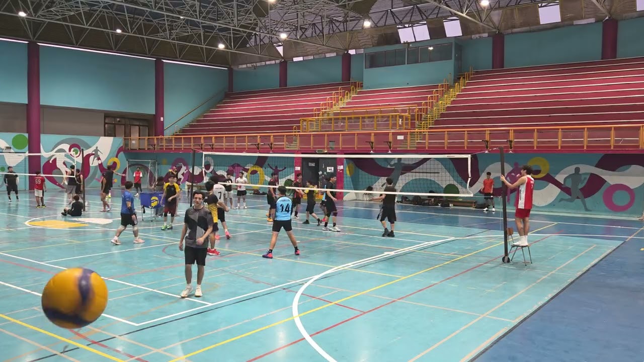 Fenix vs ricky y sus amigos