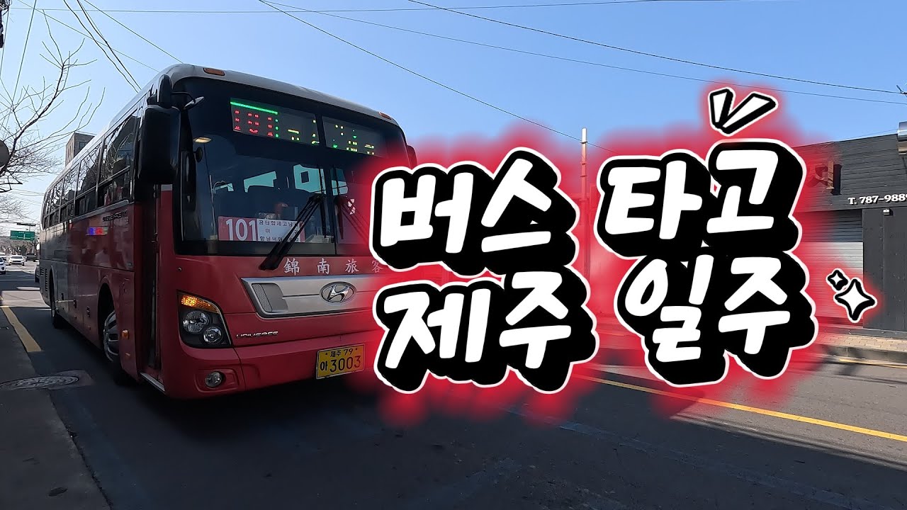 [제주일상] 시내버스 타고 제주일주 당일치기!!!