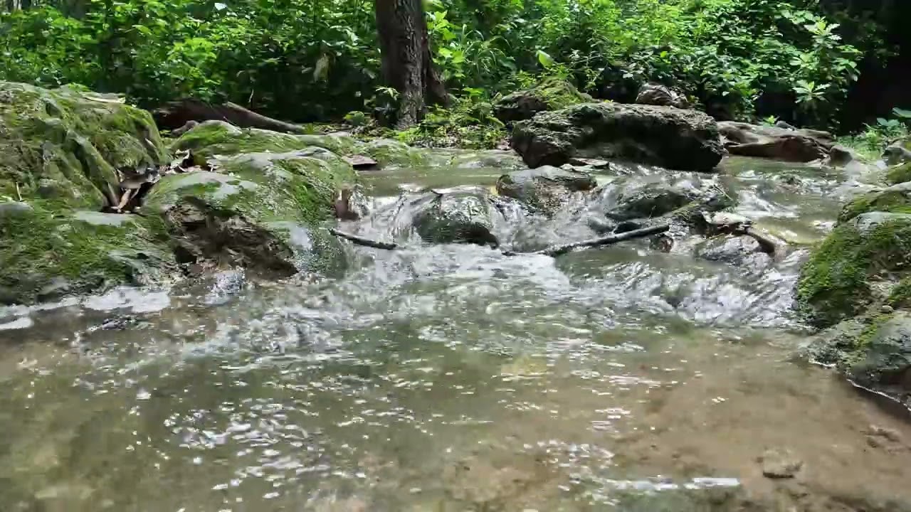 5 minutos de agua limpia fluyendo en la naturaleza