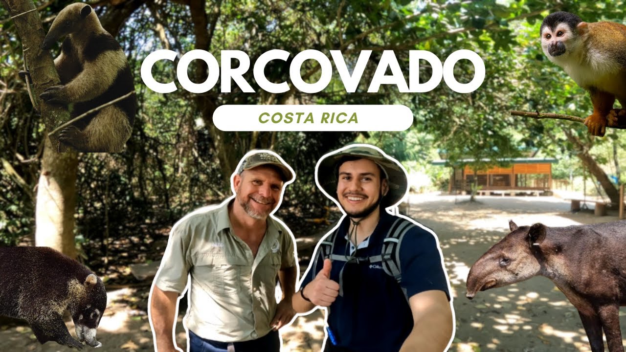 Increíble ver TANTOS ANIMALES - Explorando Corcovado en 1 día - Costa Rica