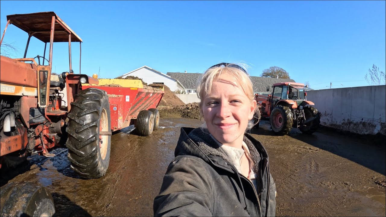 Smells like fall on the farm! First spread of the season with the International 1066…
