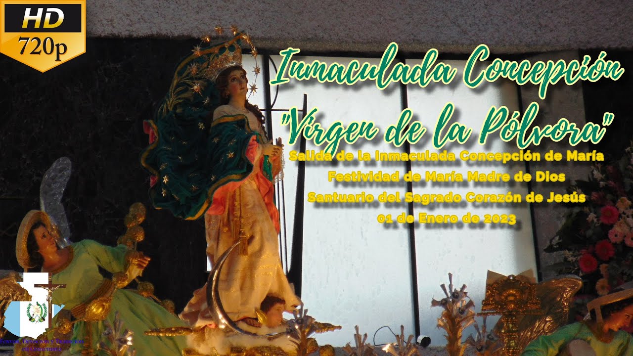 Salida de la Inmaculada Concepción de Don Bosco, 