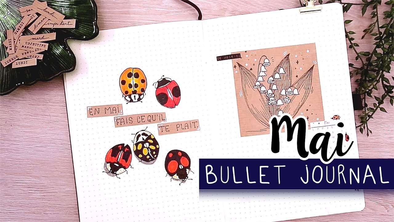 PLAN WITH ME | Bullet Journal MAI