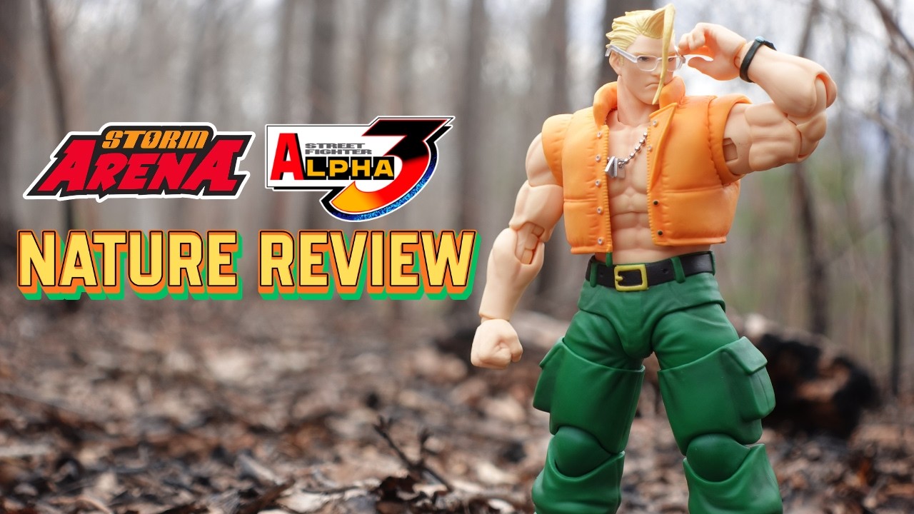 STORM ARENA STREET FIGHTER ALPHA 3 NASH - NATURE REVIEW
