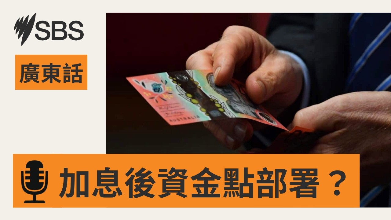 【加息後資金點部署？】分析數大市場投資主線 | SBS Cantonese - SBS廣東話節目