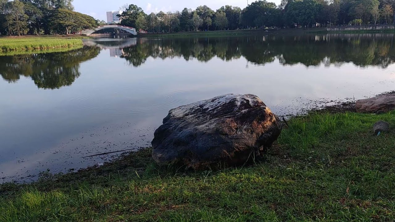 Daily Quiet · Quiet Focus · still water (30 min) quiet nature sounds for calm moments