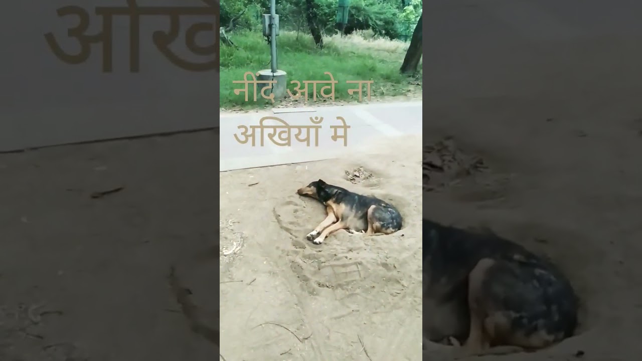 नींद आवे ना अखियाँ मे 