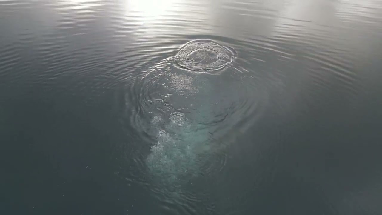 CAPERNWRAY DIVING CENTRE/JACKDAW QUARRY
