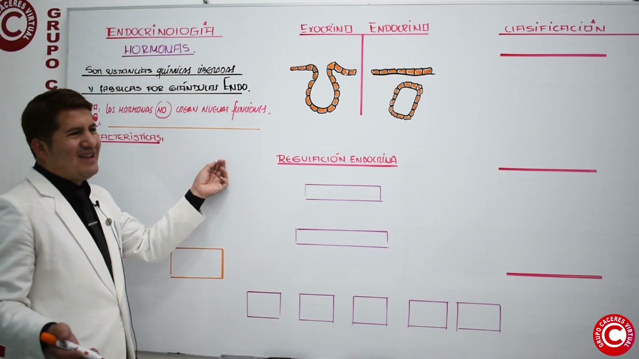 Anatomía 10