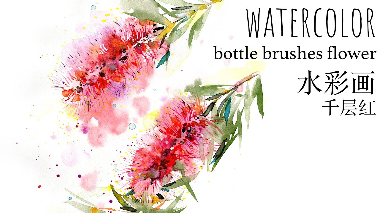 How to paint the bottle brushes flower (Callistemon) with watercolor/music/怎样用水彩画红千层/抽象风