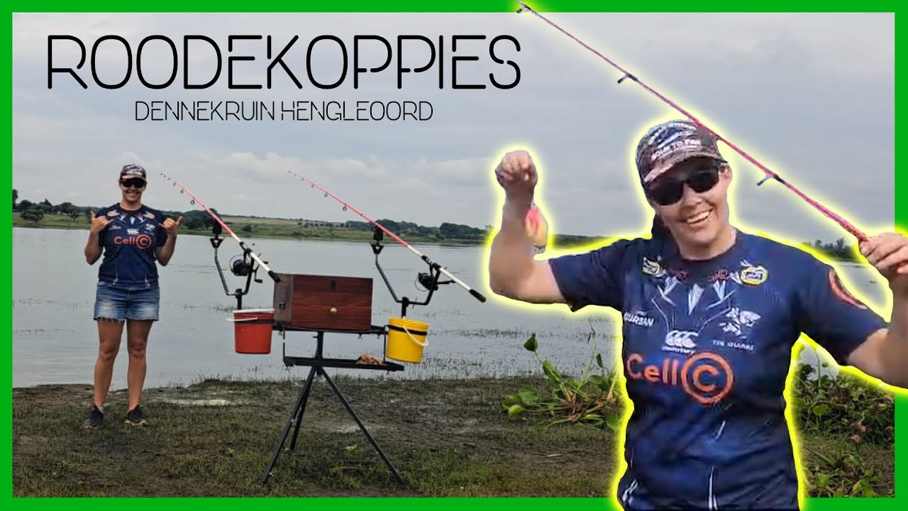 Roodekoppies dam: Dennekruin Hengeloord