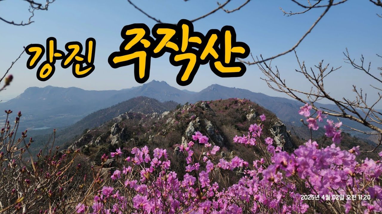 주작산(진달래꽃 절정기 산행)