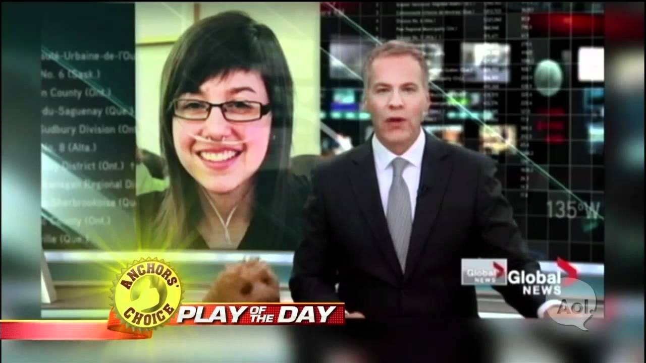 AOL reports: A Storm is Rising, A Dog takes over Broadcast