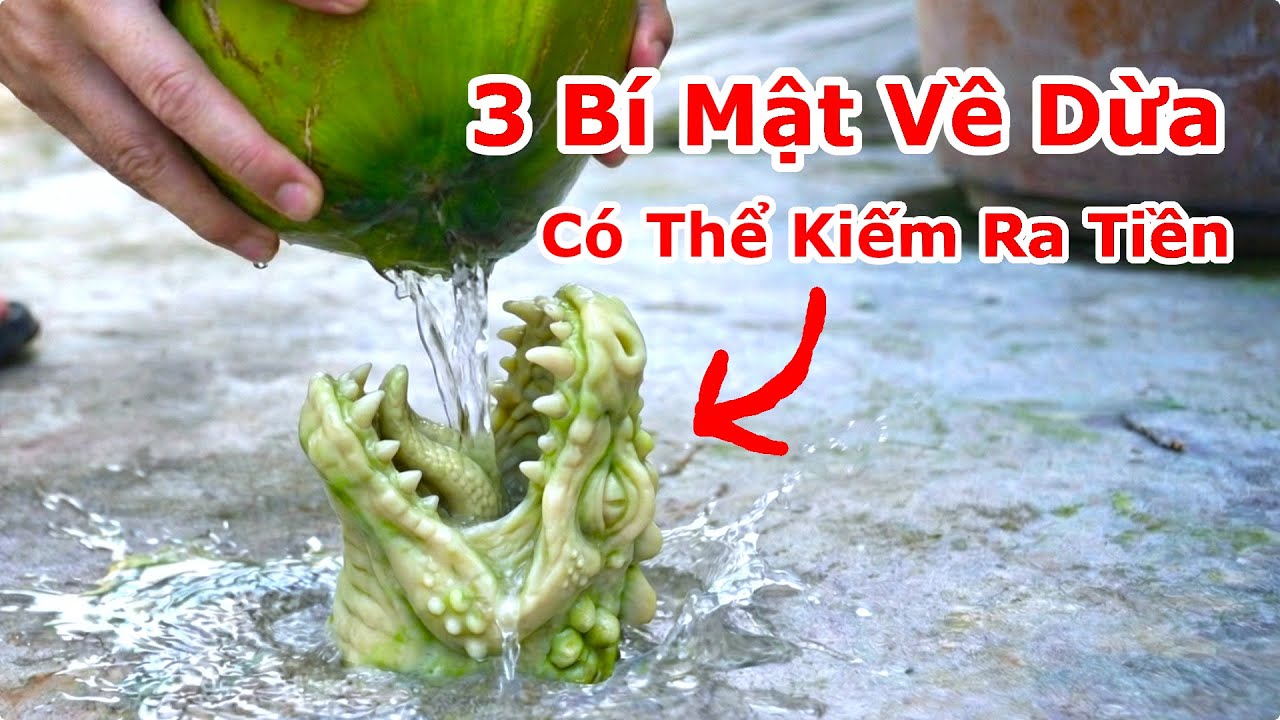 3 Bí Mật Về Trái Dừa Có Thể Giúp Bạn Kiếm Ra Tiền / Kẹo Dừa Đâm Thủng Trái Dừa , Lựa Dừa Nhiều Nước
