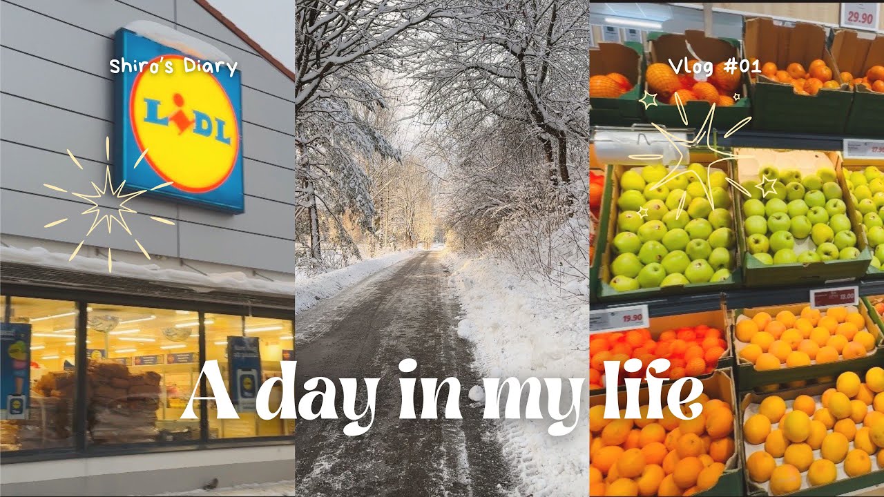 Days In My Life | Grocery Shopping | Vlog 01 #groceryhaul #cozyvibes#groceryshopping 
