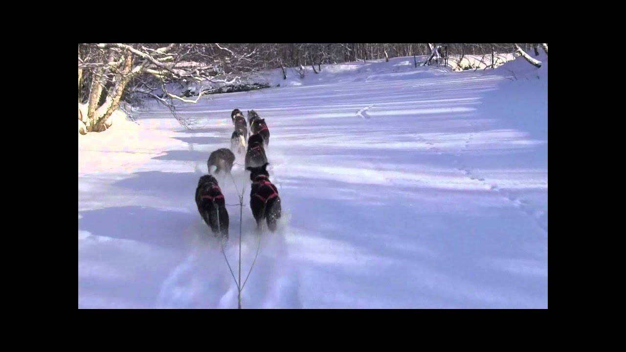 Sledetur i Fauske Kommune.wmv