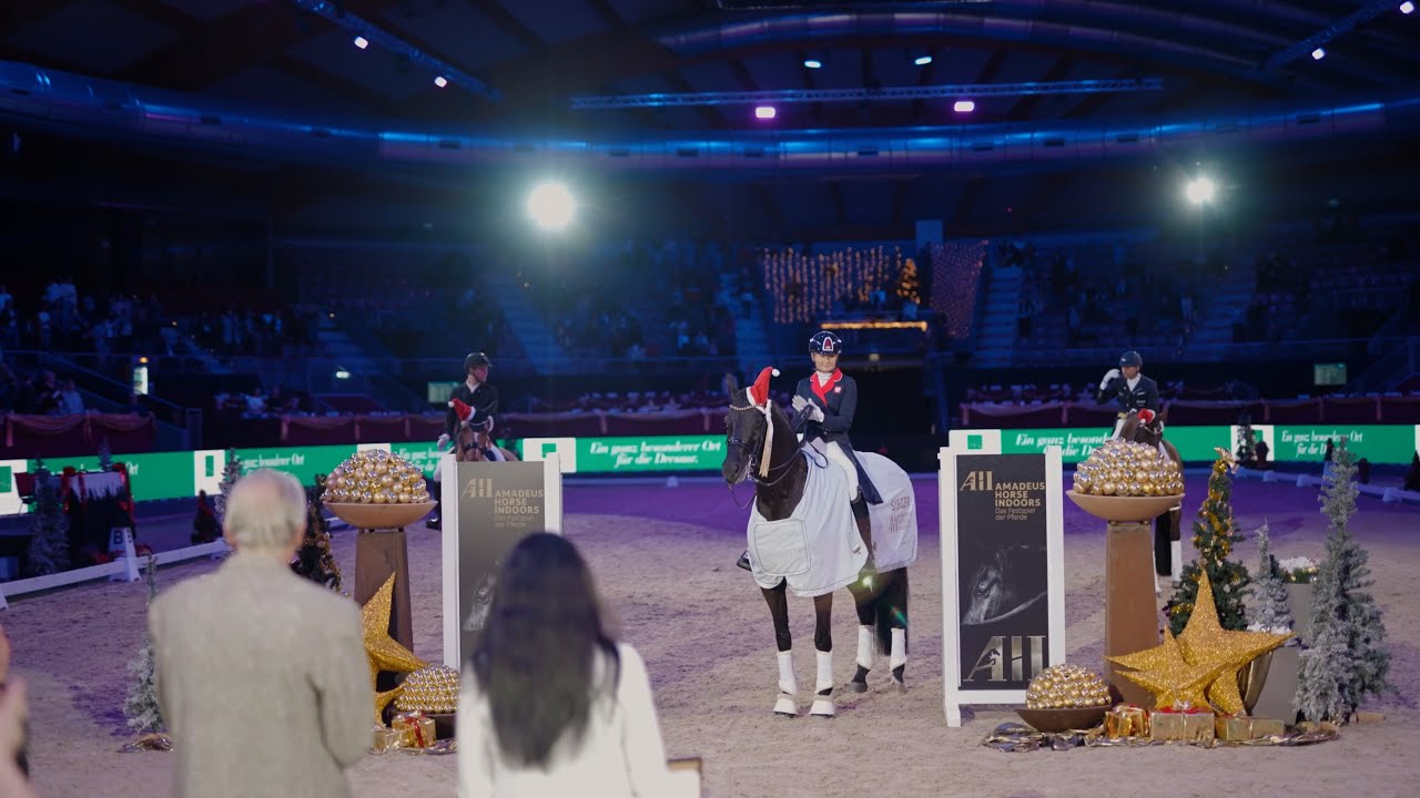 Amadeus Horse Indoors - Rückblick 2024