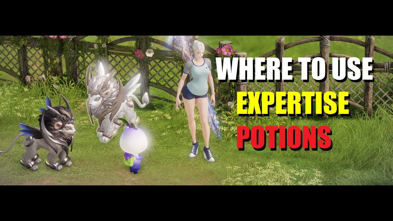 [Lost Ark] Where to use your pet expertise potions