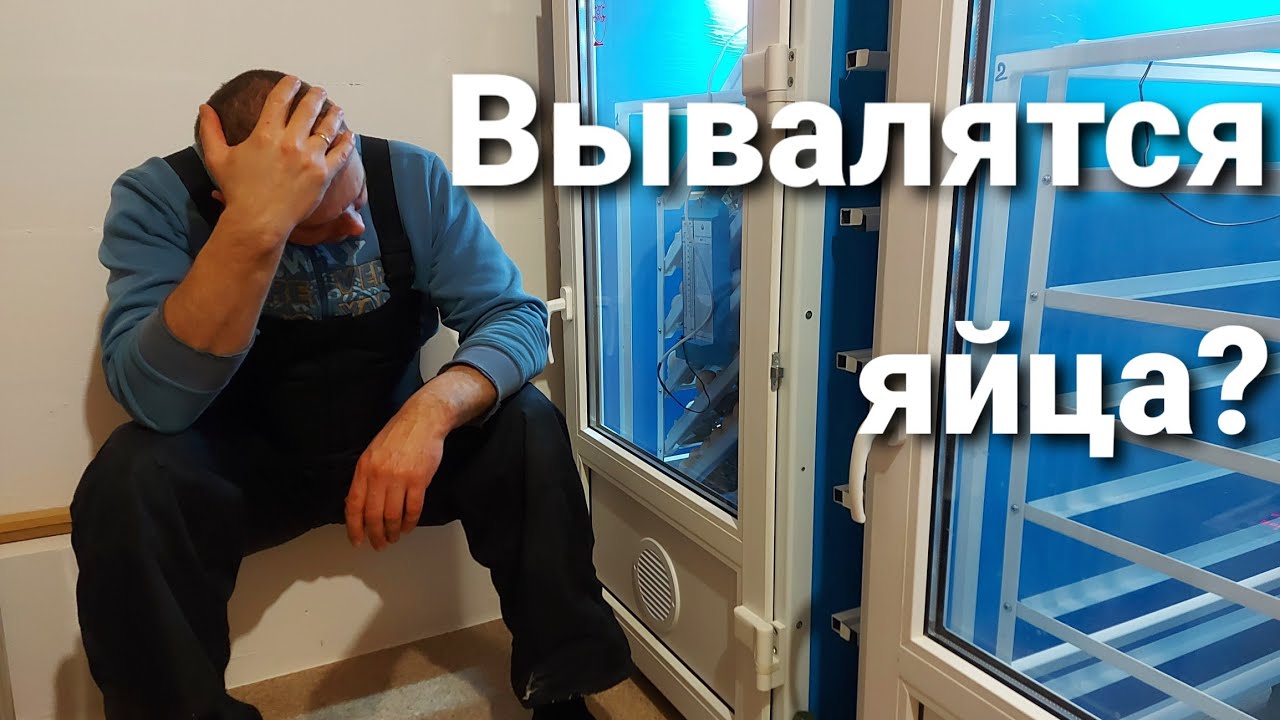 РИСКНЕМ ЯЙЦАМИ | РАЗОБЬЕМ? | ЛОТКИ ДЛЯ ИНДЮШИНЫХ ЯИЦ