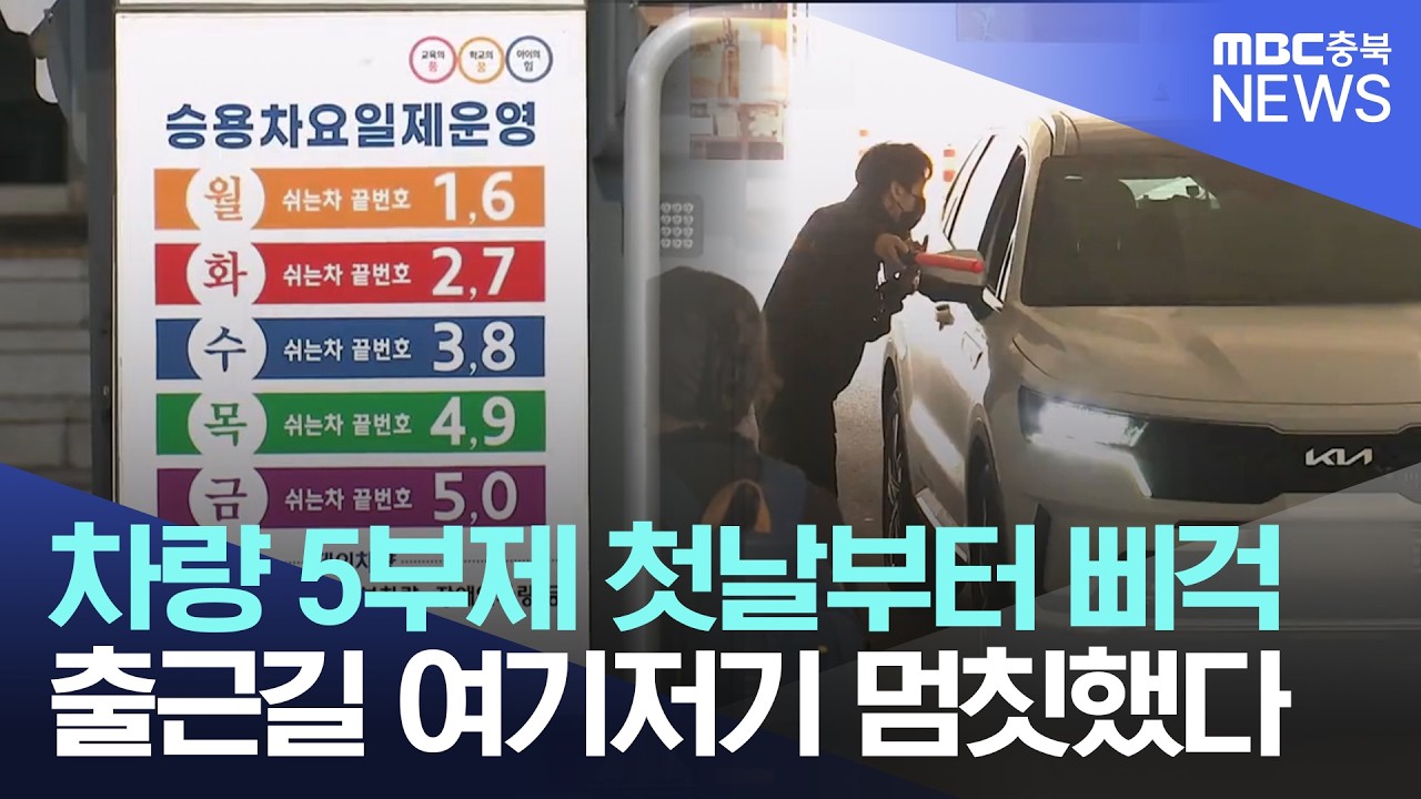 차량 5부제 의무 시행 첫날‥
