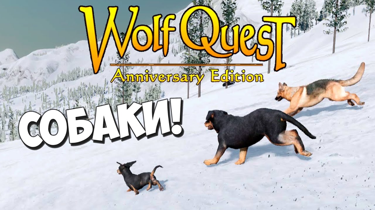 Увидеть новый снег и умереть.. в водопаде! WolfQuest: Anniversary Edition # 105