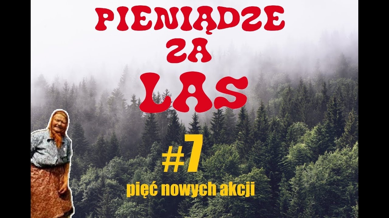 NOWOŚĆ! Pieniądze za las #7: pięć nowych akcji (część 1)