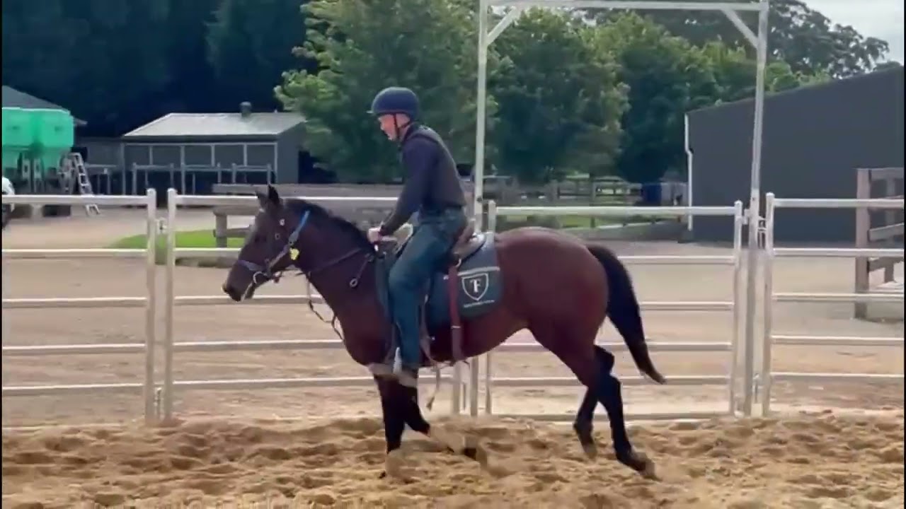 Tagaloa ex Rockaroo Colt 03-24