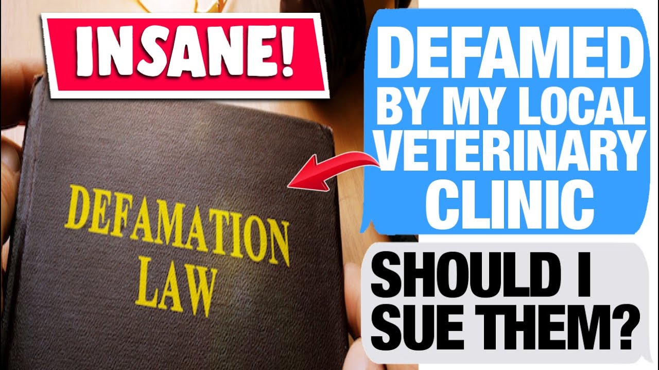 r/LegalAdvice - Shamed By Vet After I Euthanised My Cat...