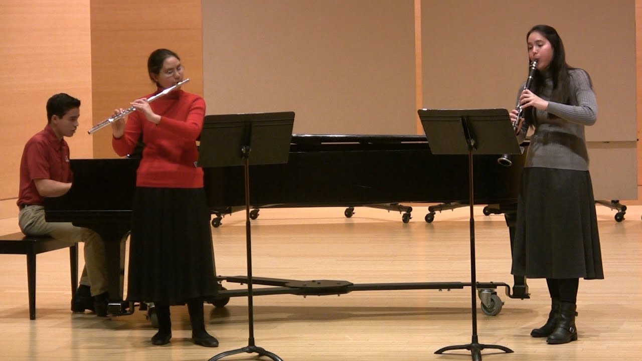 Christmas Joy Medley - Flute, Clarinet, and Piano, arr. Lanier