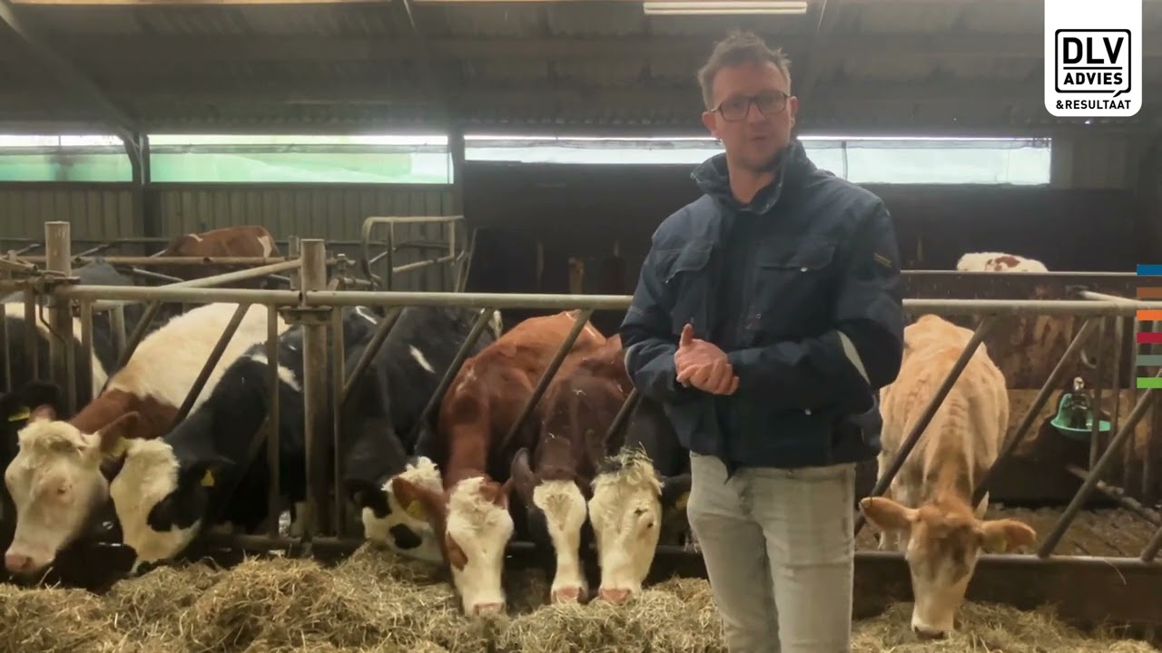 Extensiveringsgroep Noord West Overijssel