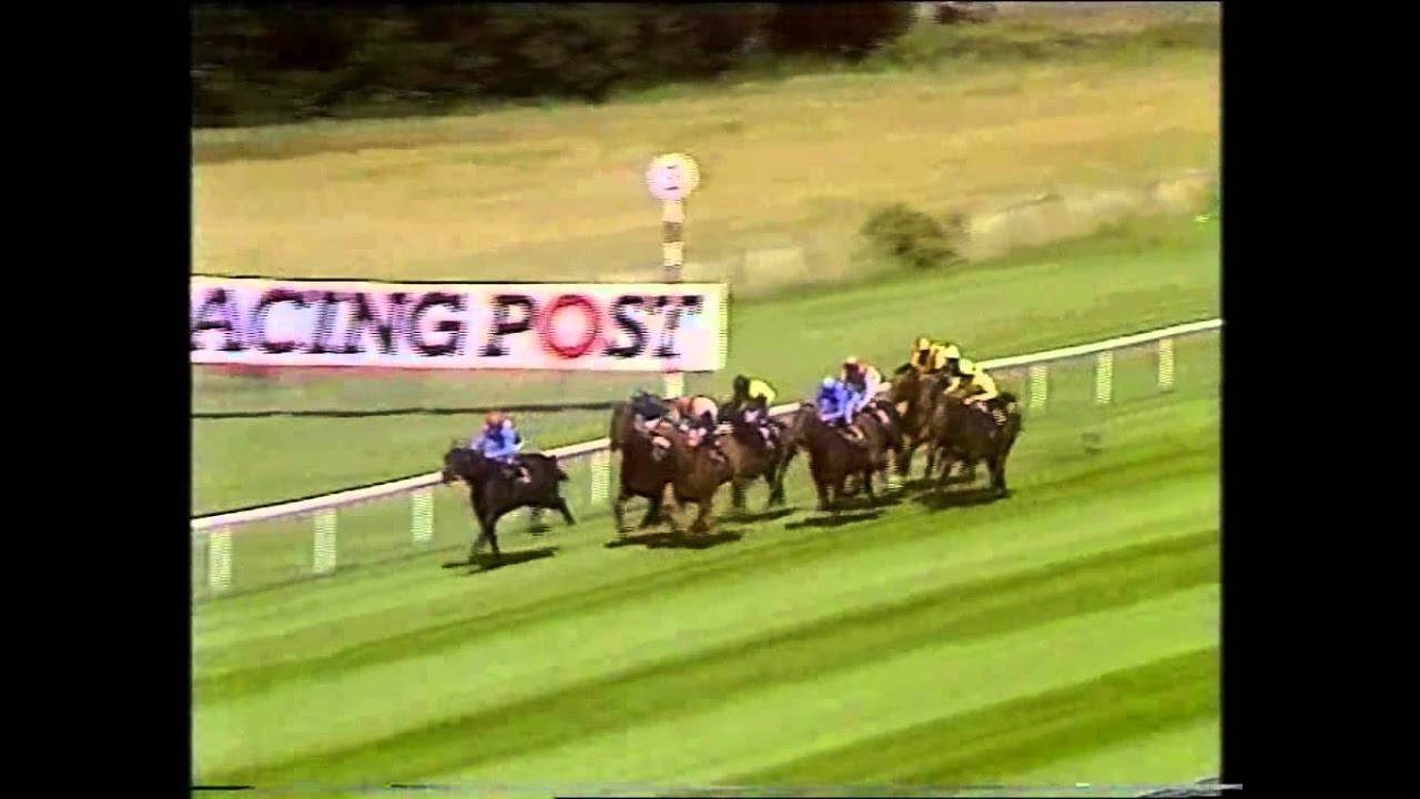 1988 Sussex Stakes Goodwood Warning