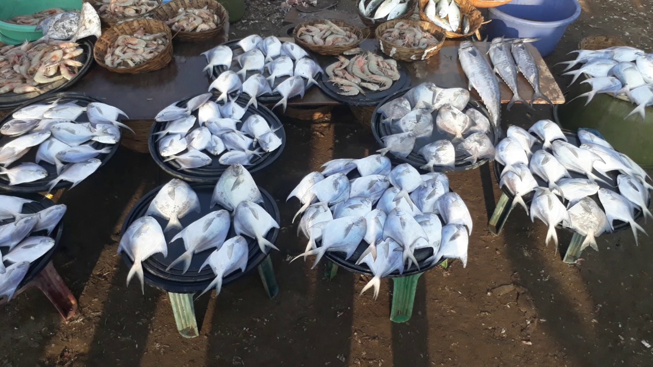 Dapoli Harnai Beach Fish Market