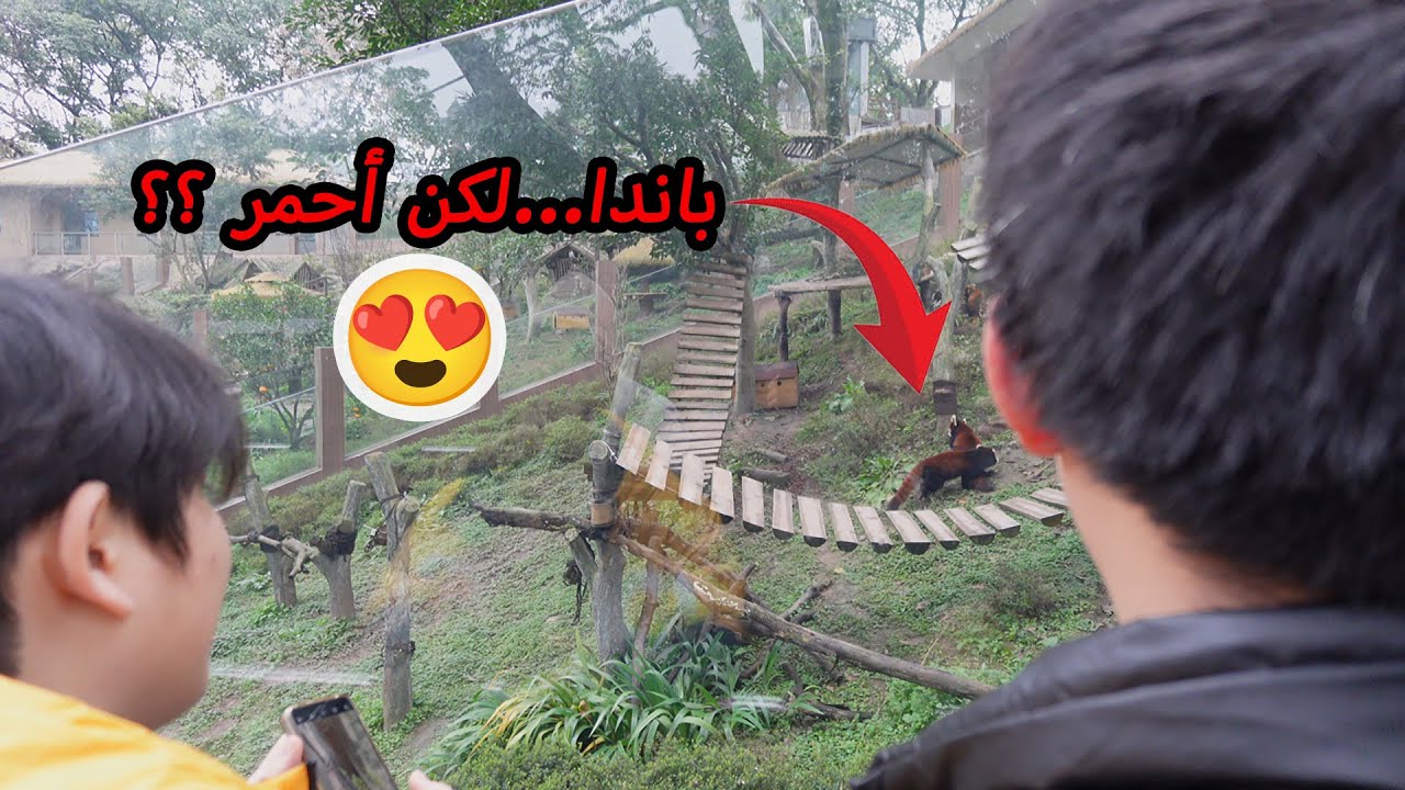 كائن لم أتوقع وجوده في الصين! ✨ | حديقة تشونغتشينغ الجزء الثاني
