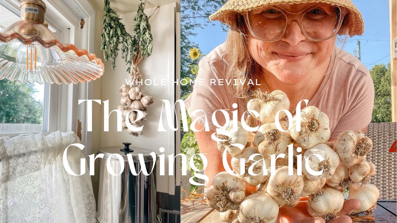 The Magic of Growing Garlic 