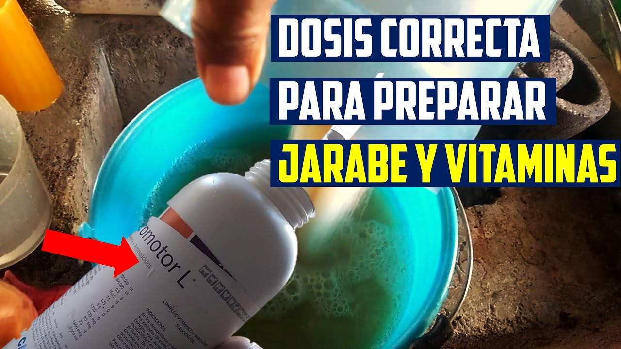 Como Alimentar a tus Abejas usando Azucar, Vitaminado | #apicultura