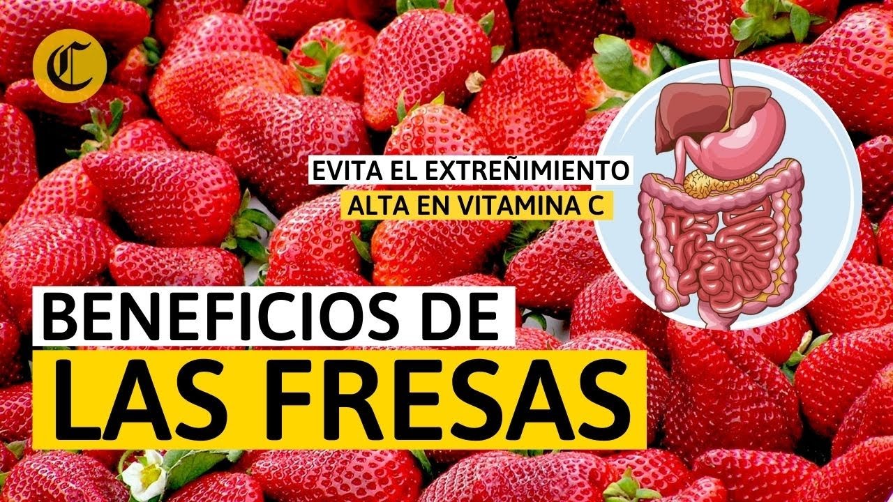 PROPIEDADES y BENEFICIOS de las FRESAS 🍓 que ayudan a tu sistema inmunol&oacute;gico