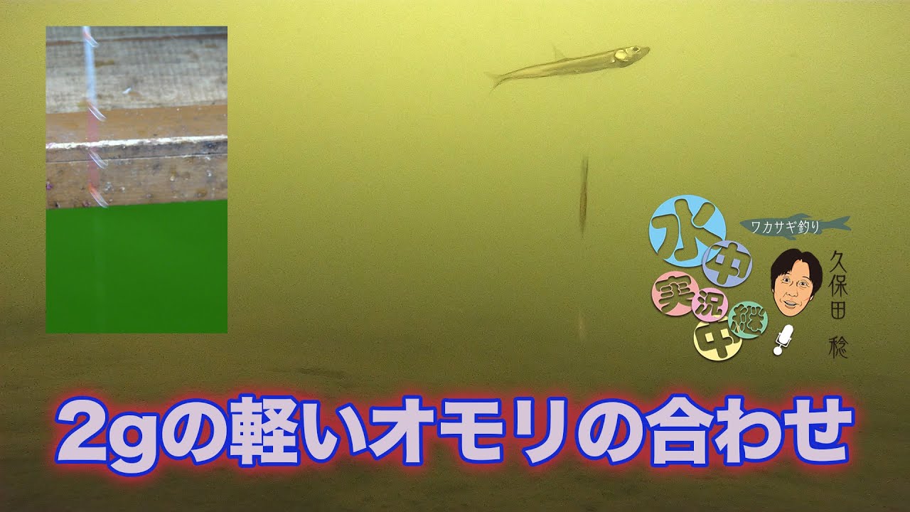 2gの軽いオモリの合わせ 久保田稔 ワカサギ水中実況中継